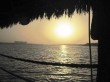 IMG_2947.jpg